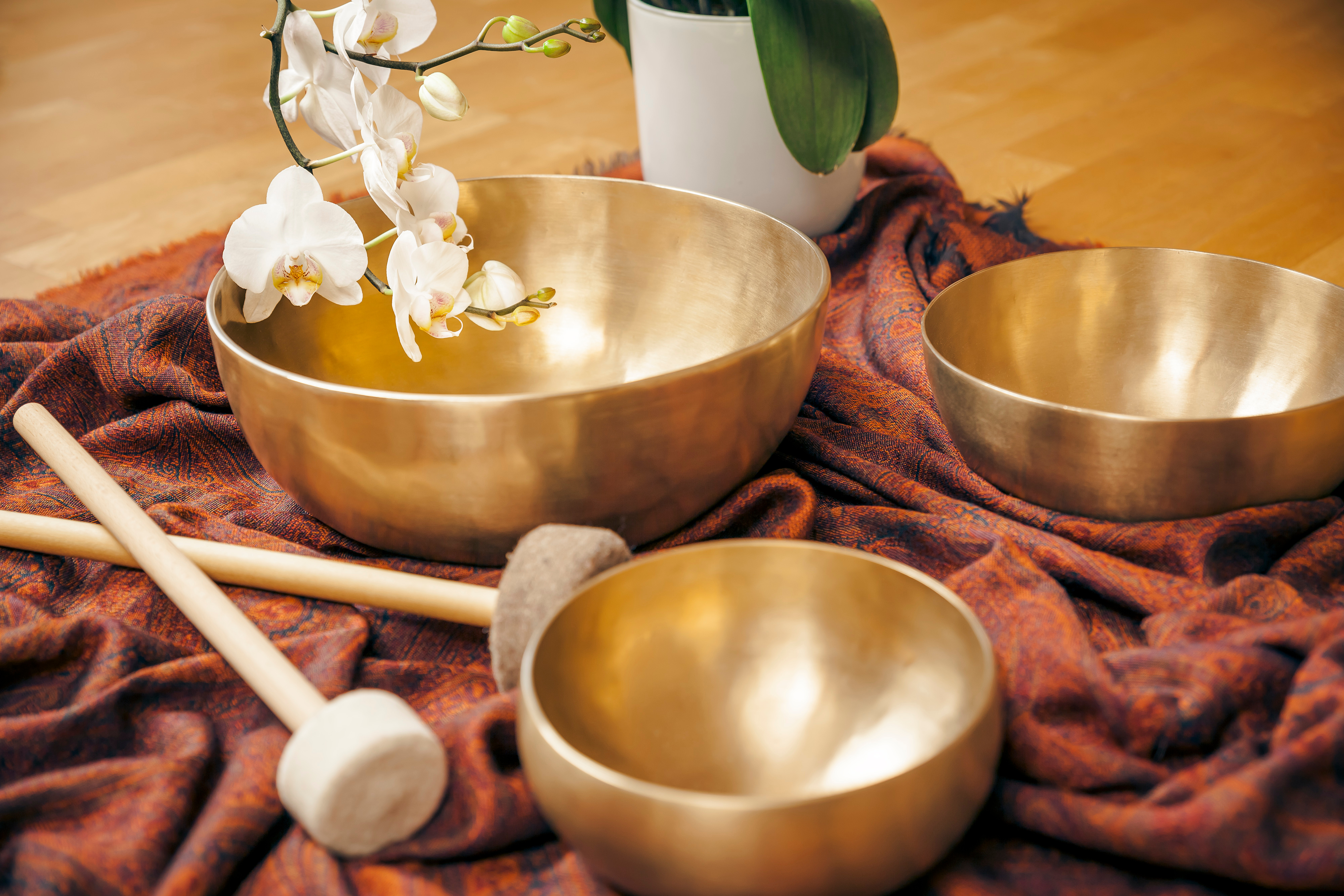AdobeStock_55577614